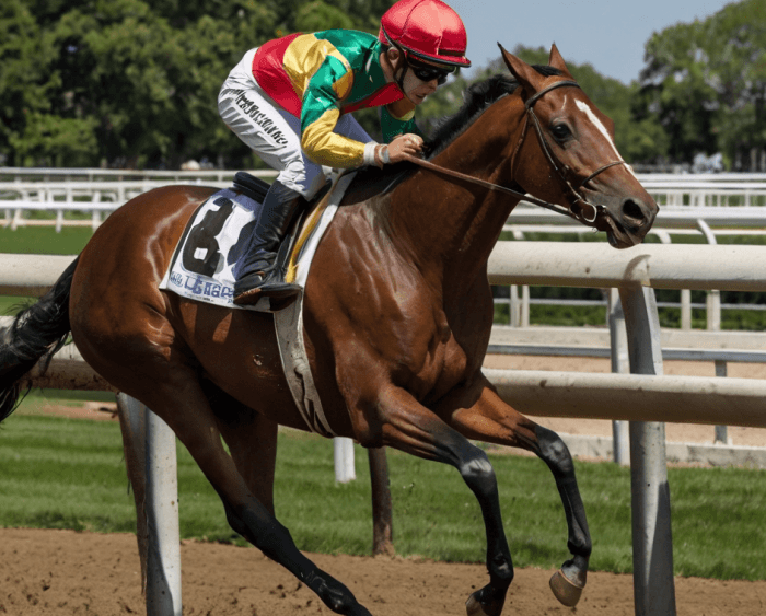 Vainqueur du tournoi hippique — Sergueï Smirnova